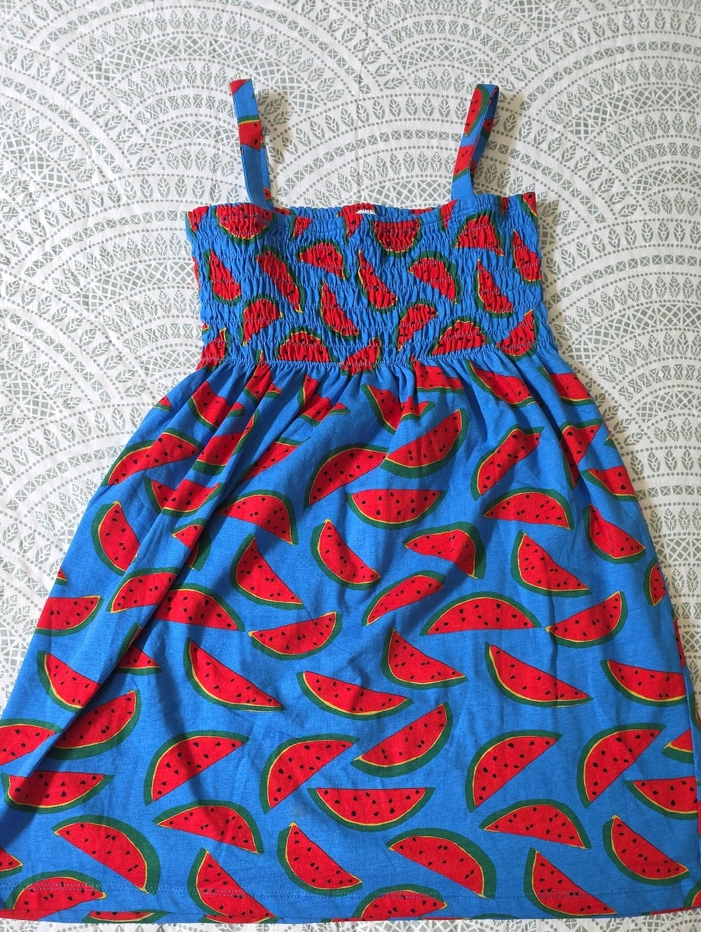 Hanna Andersson Blue Dress with Red Watermelon Print